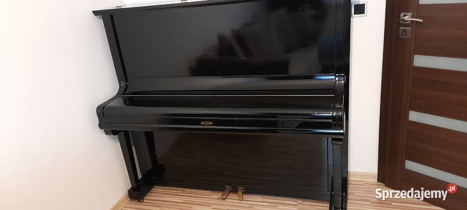 Pianino Theodor Betting Pilica