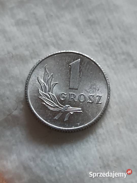Sprzedam monete 1 grosz 1949 nnn Chełm