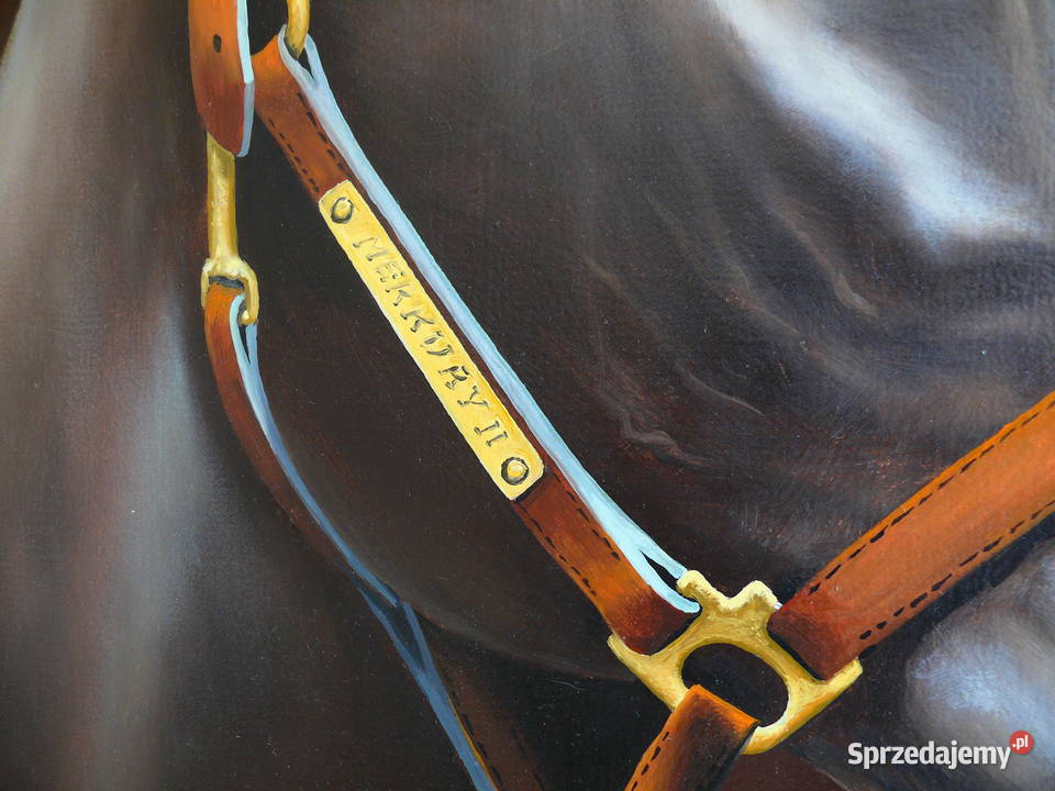 Portret konia A Tyszkiewicz Warszawa