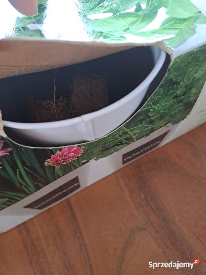 Zestaw 3x Metalowa Doniczka z miejscem do