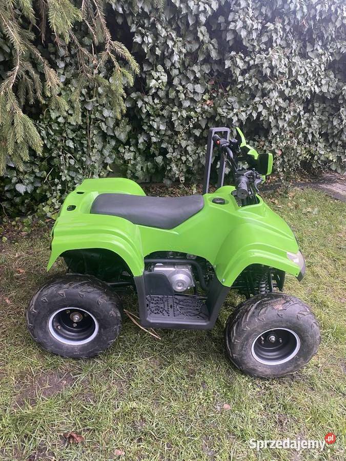 Quad 125 11 wielkopolskie Dubin