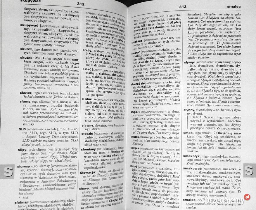 Szkolny słownik poprawnej polszczyzny Magdalena Rok wydania 2002 Chełm