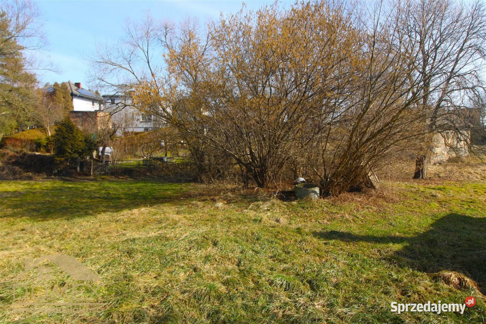 Grunt 4000m2 Wodzisław Śląski 48zł/m2 Sprzedaż śląskie