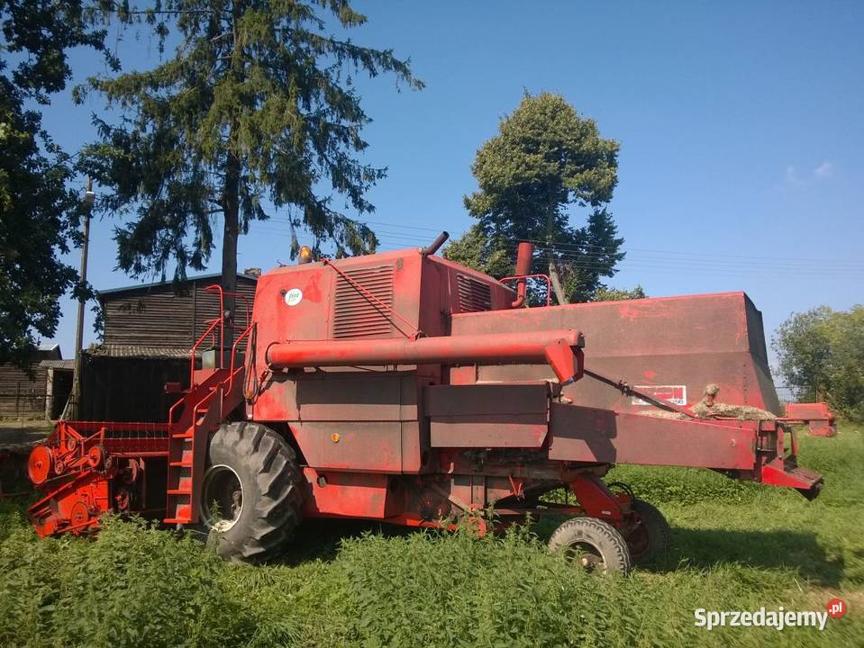 Bizon super Z056 Koszalin