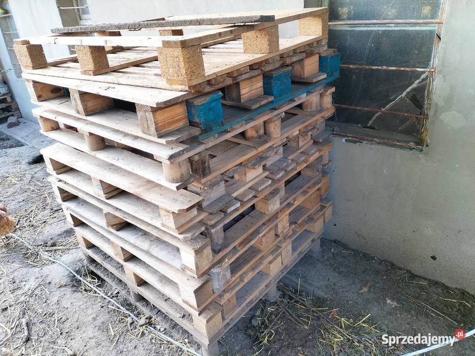 PALETY PALETA 100X120 lubelskie Kamień-Kolonia