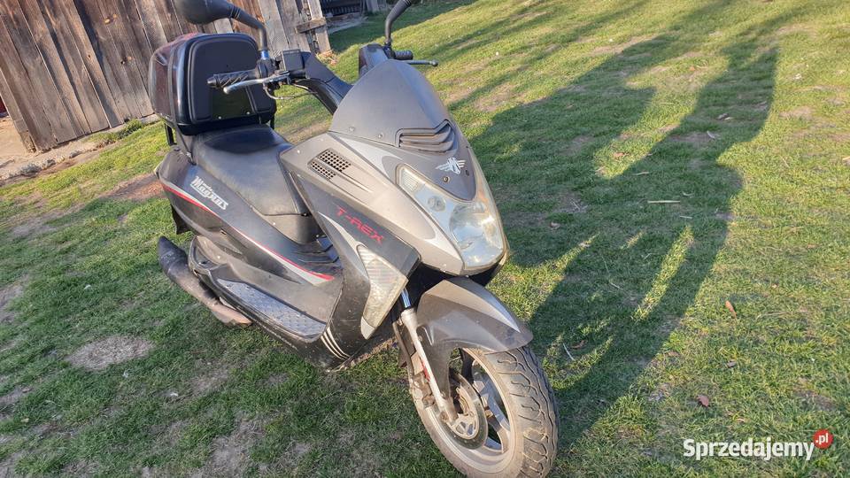 skuter magnus trex