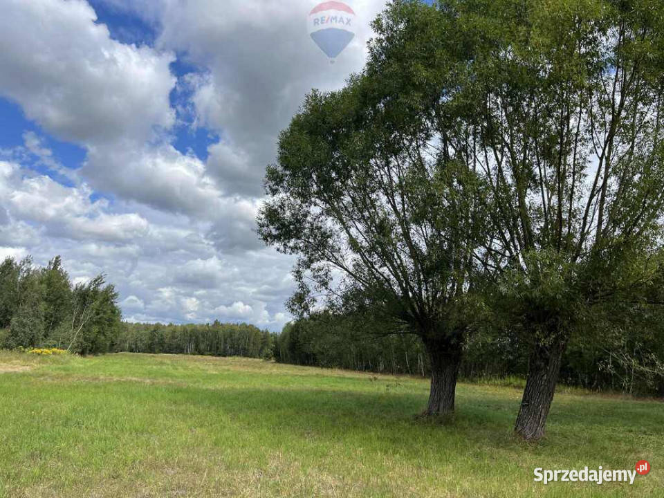 Działka siedliskowa mazowieckie Pustelnik