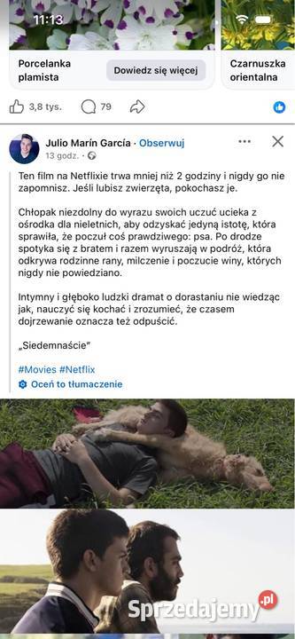 Sprzedam telewizor viera 50