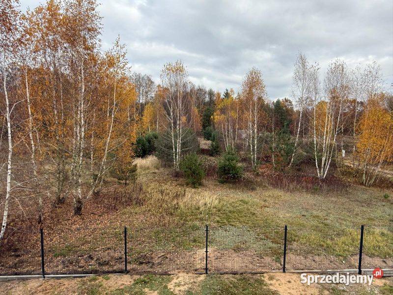 Dom lesie jeziora Koszelówka metalowe Sprzedaż