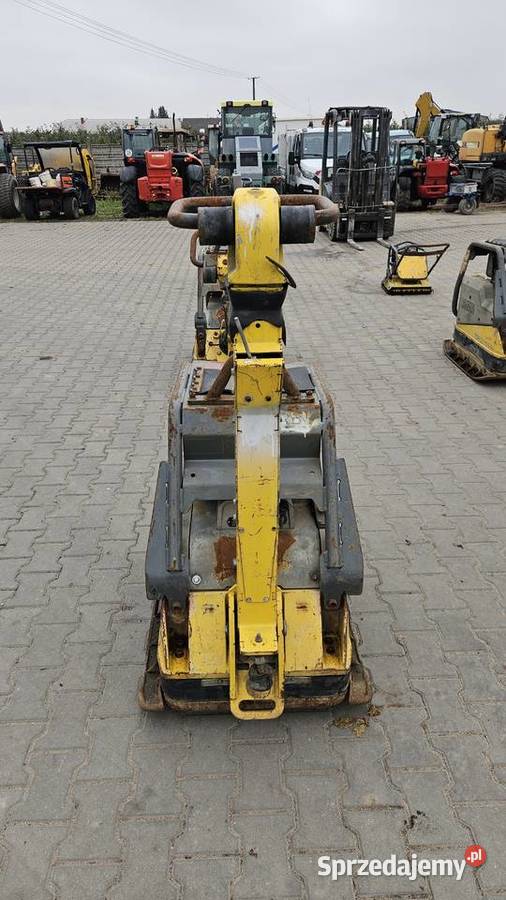 Zagęszczarka Wacker Neuson DPU6555 2017 500 Sochaczew