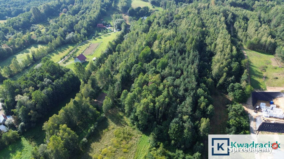 sprzedaży działki Kołaczyce 2832m2