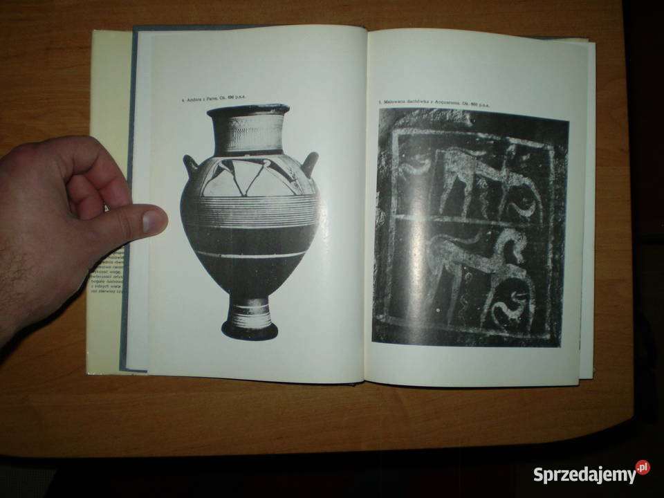 Malarstwo Etruskie Kielce