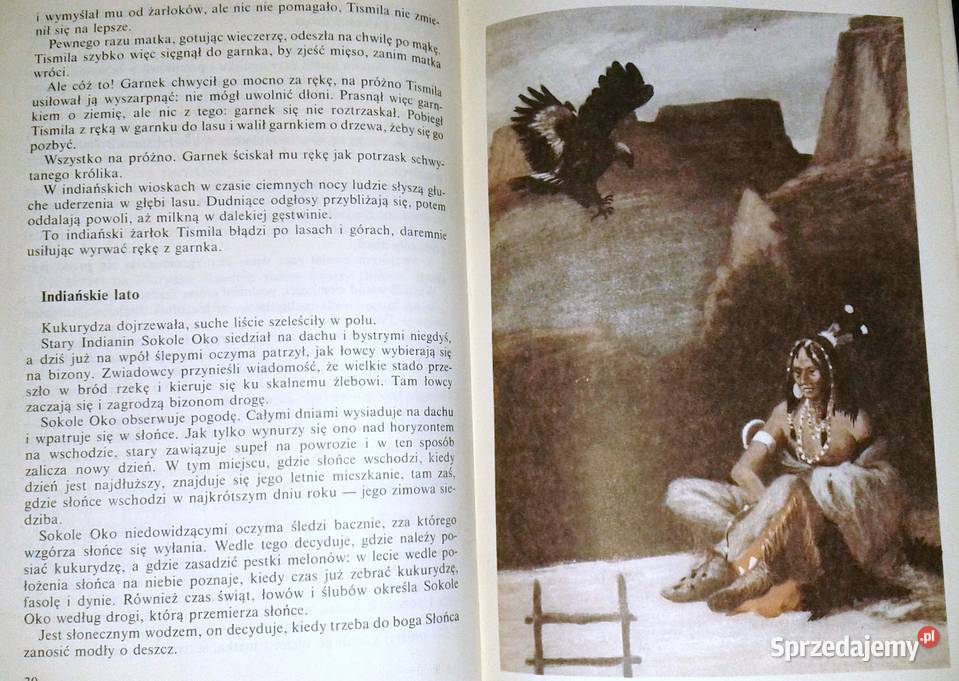 prerię pędzi koń Vladimr Stuchl Rok wydania 1986 Chełm