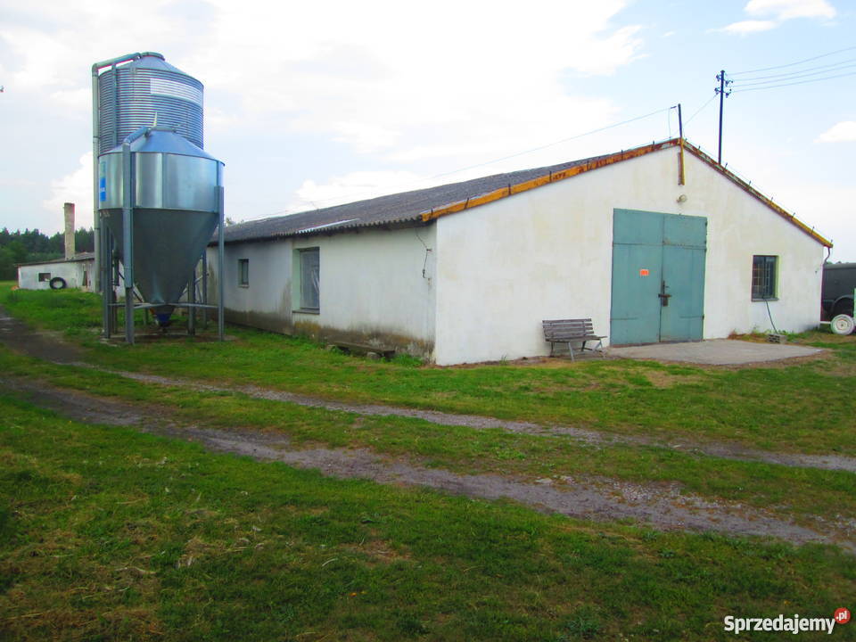 FERMA DROBIU Z DOMEM MIESZKALNYM Łubno