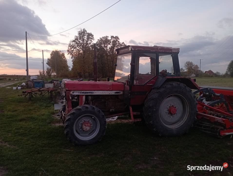 Wyprzedaż international 1046 Samorządki