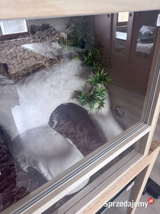 Sprzedam terarium gekona lamparckoego Kołodziejewo