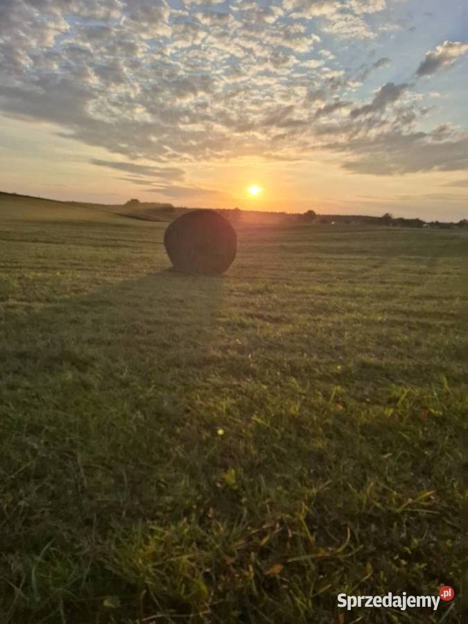 Sprzedam siano w belach podlaskie Giby