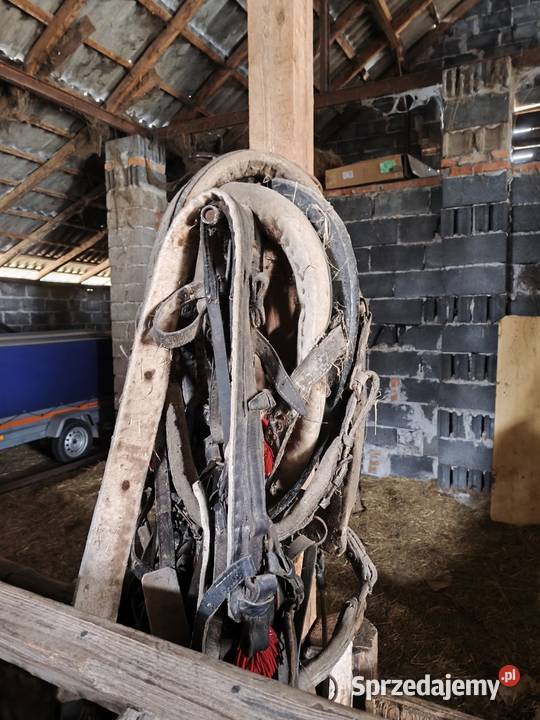 Maszyny rolnicze konne osprzęt konny chomąta podkarpackie Mielec sprzedam