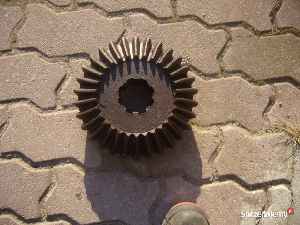 kolo talerzowe etc165 mtz Majdan Królewski