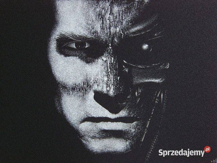 TERMINATOR grawerka Staloryt 20 X 30 Sandomierz