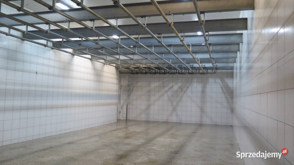 Syndyk sprzeda przedsiębiorstwo upadłego