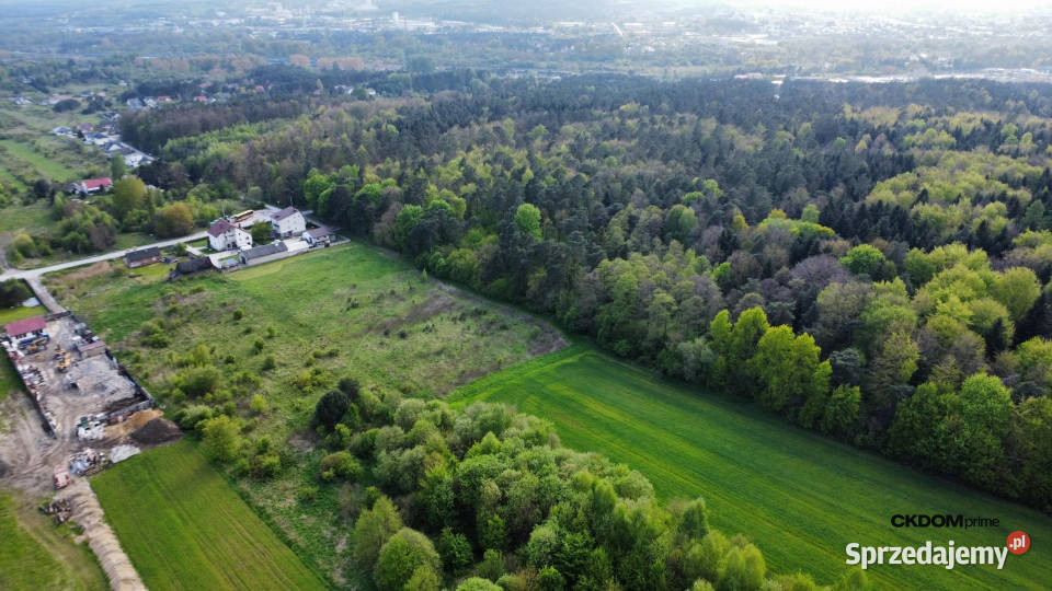 Duża działa Kielce Posłowicka Sprzedaż świętokrzyskie