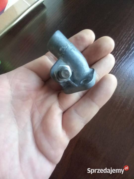 Kruciec zak rys Sokołów Podlaski