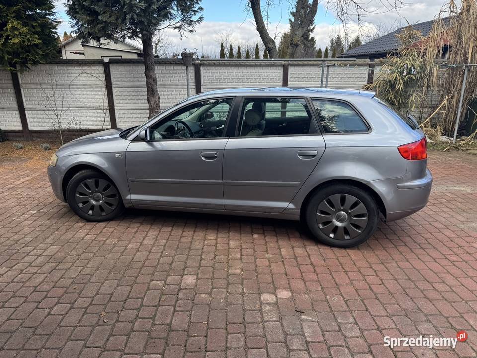 AUDI A3 8p 2004 r poduszka powietrzna Zajezierze