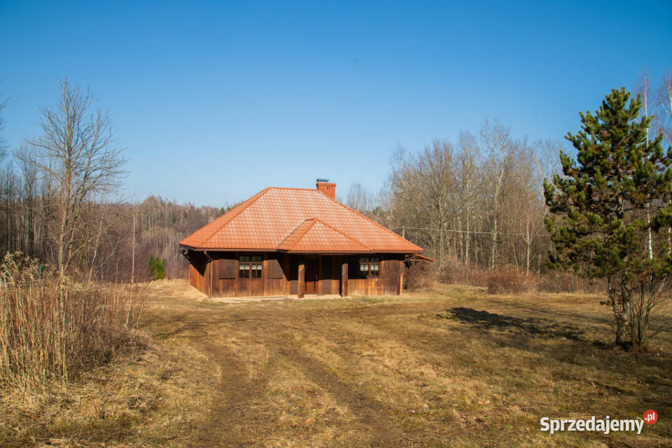 Siedlisko w Joninach z działkami 35 hektara Joniny