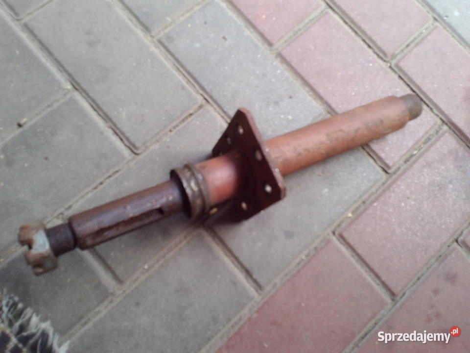 Bizon wałek ślimaka Pozostałe Horodło sprzedam