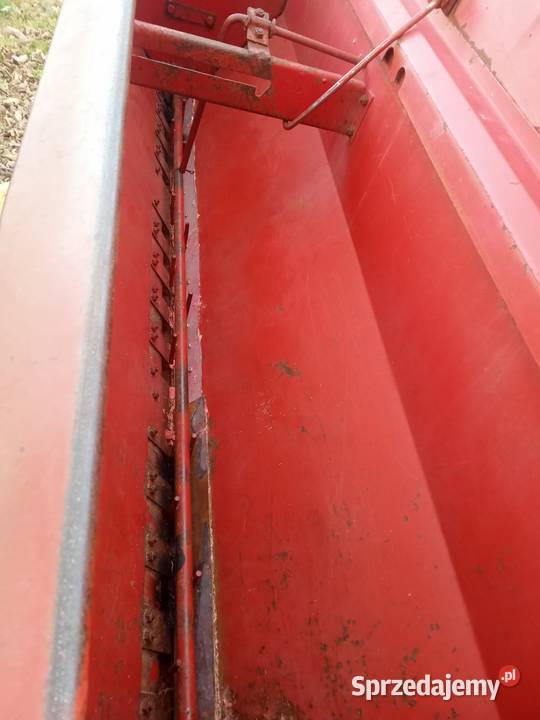 Siewnik Poznaniak Sokolniki