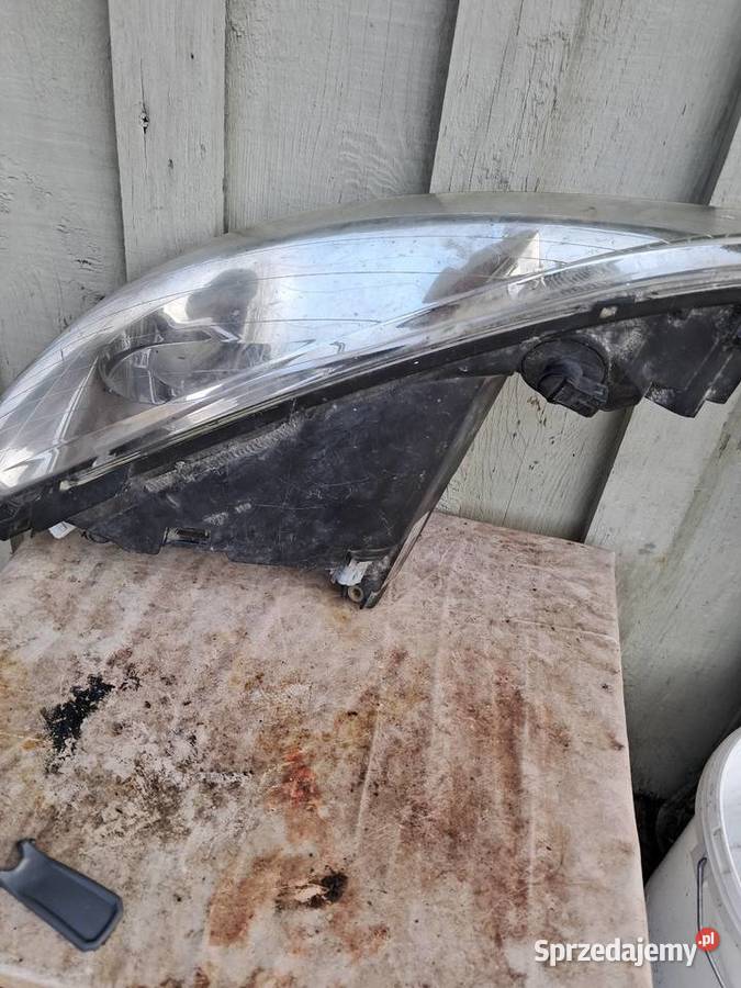 Lampy do peugeota 206 2007 r Peugeot Pasłęk
