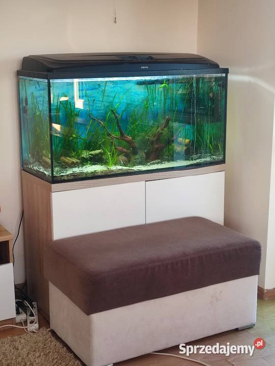 Akwarium 200l lubelskie Chłopków sprzedam