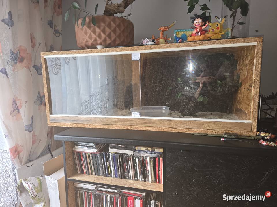 Sprzedam Terrarium z Boa Jastrzębie-Zdrój