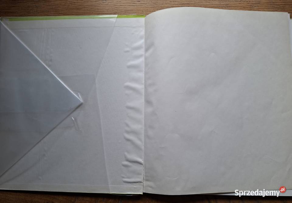 W kręgu sztuki Gianlorenzo Bernini Arkady Kraków