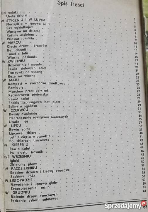 Sałata szpinak 12 mcy na działce Warzywnik i Oświęcim