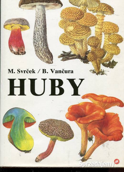 Huby Grzyby Svrcek Vancura Szczecin
