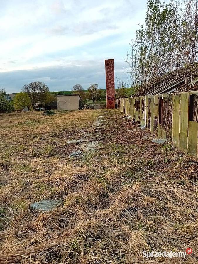 Usługi rębakiem sprzątanie działekkoszenie trawy Tomaszów Lubelski