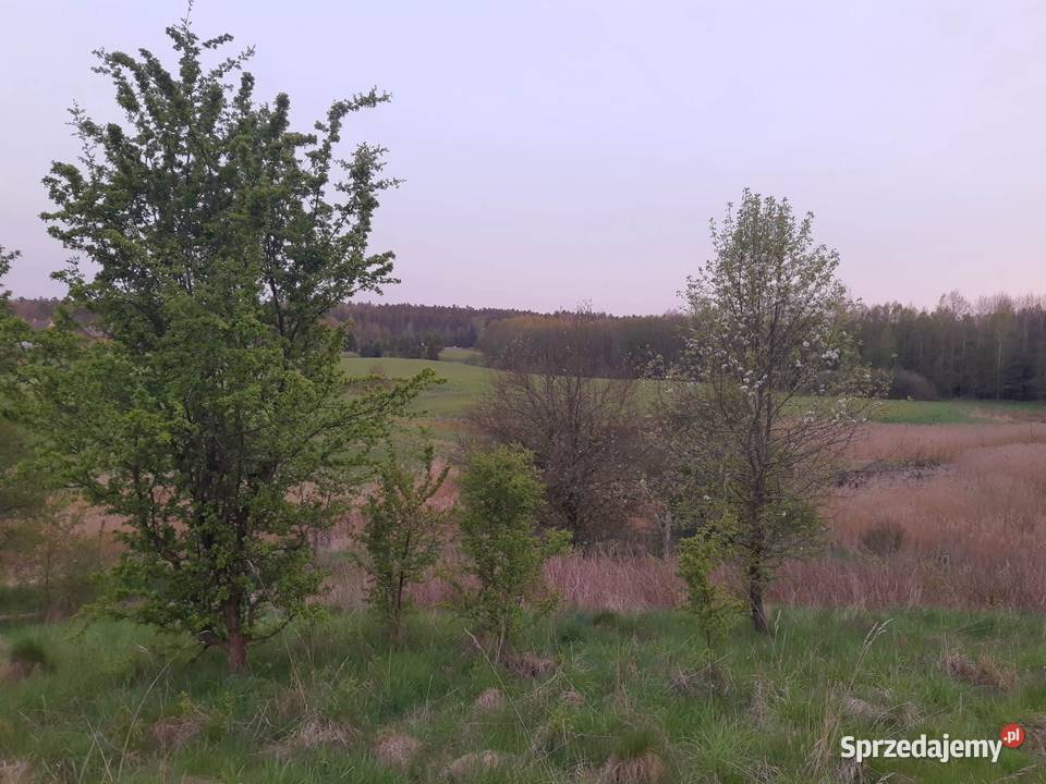 Działka budowana z dostępem do wody 41zł/m2 Łukta