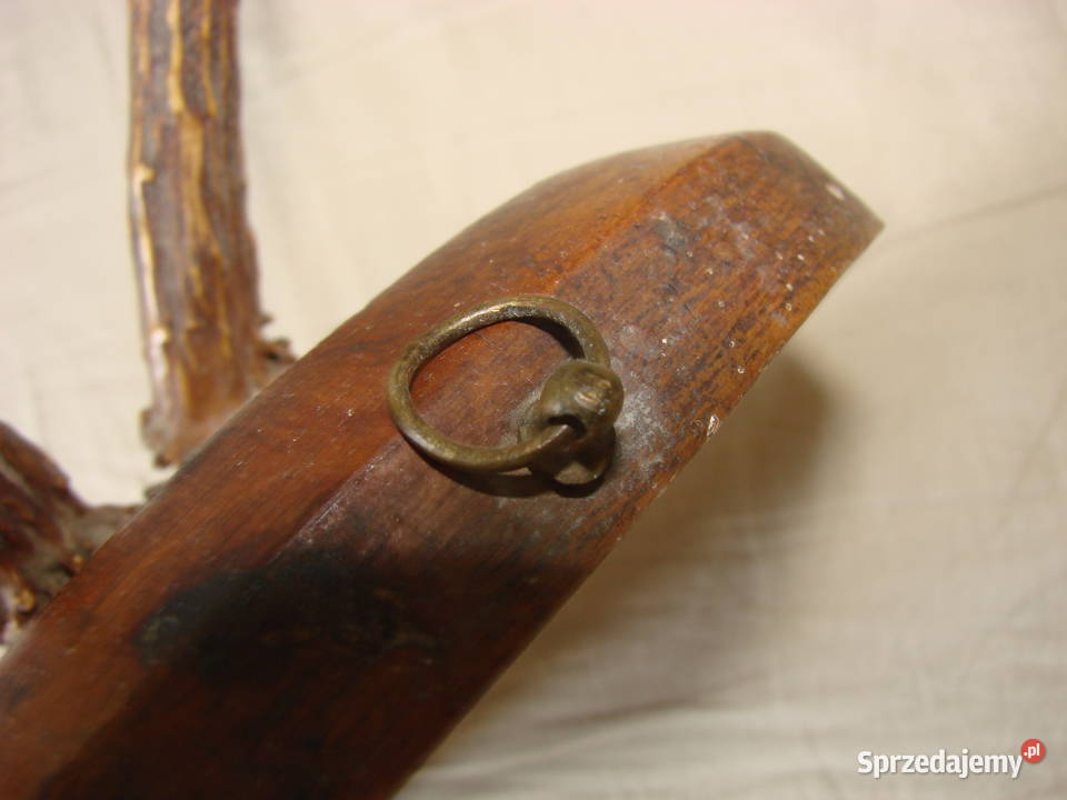 poroże kozła sarny Pruszcz Gdański