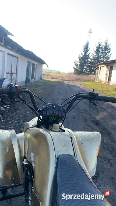 Bashan 200 ciecz zamiana łańcuch Rąbino