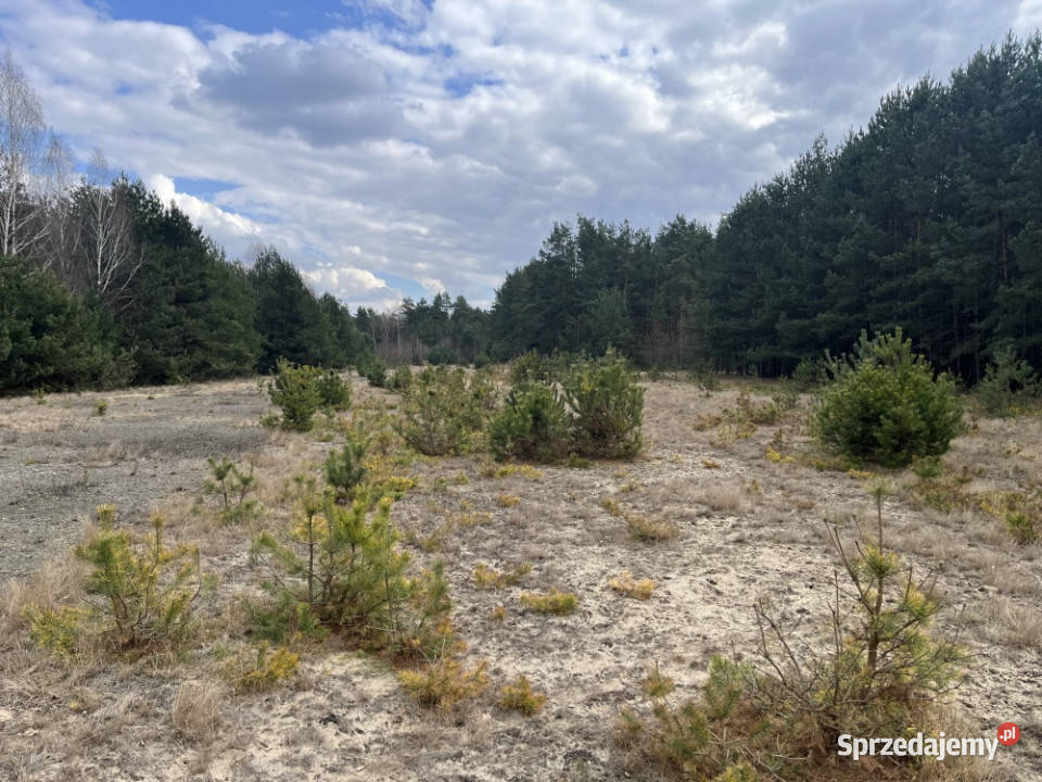 Dwie działki rolne 205 i 206 303 ha drodze 30328m2 Łączka