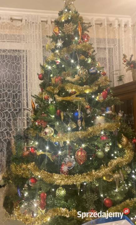Piękna gęsta choinka 180m zachodniopomorskie Warzymice
