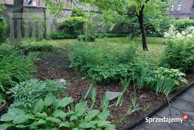 dom wolnostojący Zabrze 16000m Zabrze sprzedam