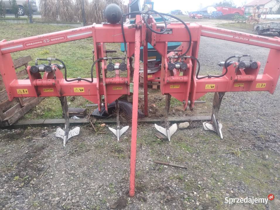 Głębosz Gregoire Besson 4 łapy 3 m Głębosze mazowieckie Gończyce