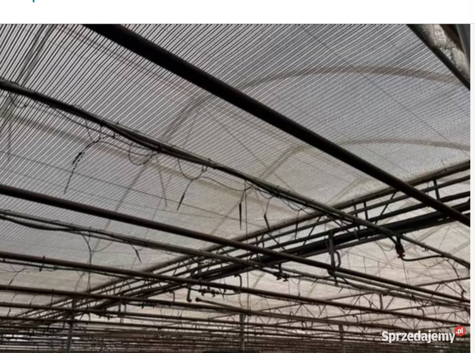 Szklarnia tunel foliowy 5500m2 Siedlce