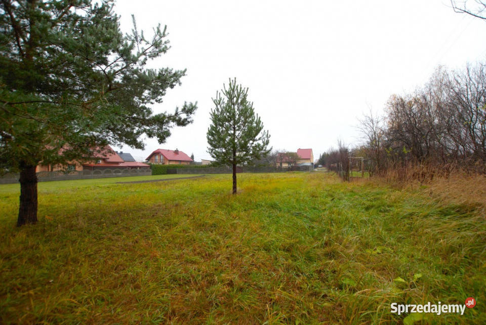 Grunt do sprzedania Daleszyce 4282m2 kanalizacja sprzedam