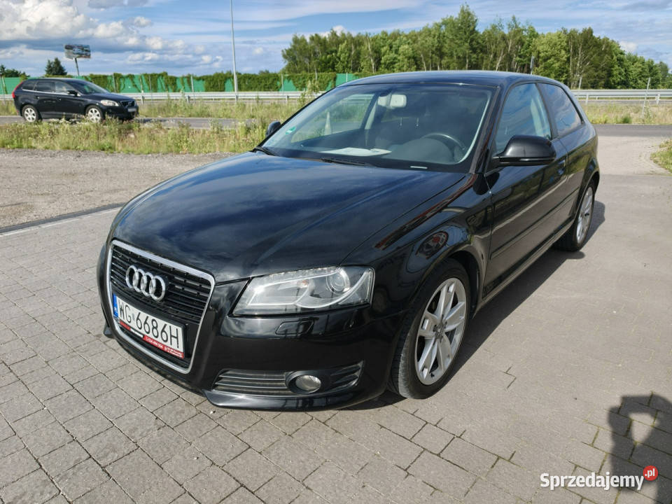 Audi A3 Sportback nowy 8P 20032012 Lipówki