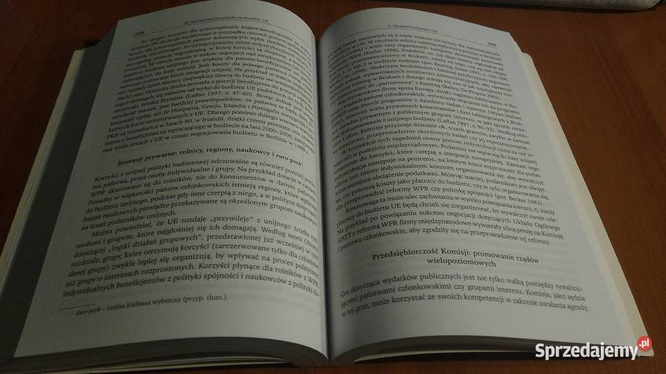 System polityczny Unii Europejskiej Simon Hix pomorskie sprzedam