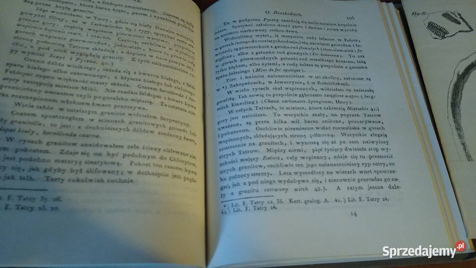 O ziemiorodztwie Karpatow i innych gor i rownin Gdańsk